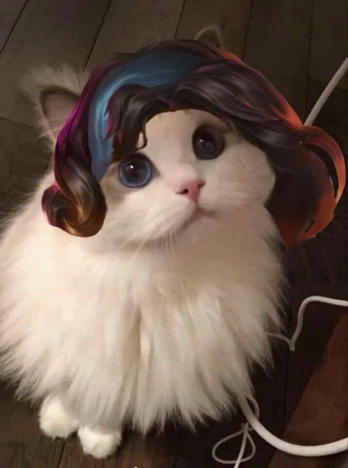 Cat edits