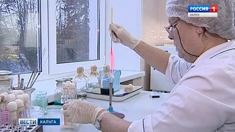 Специалисты полагают