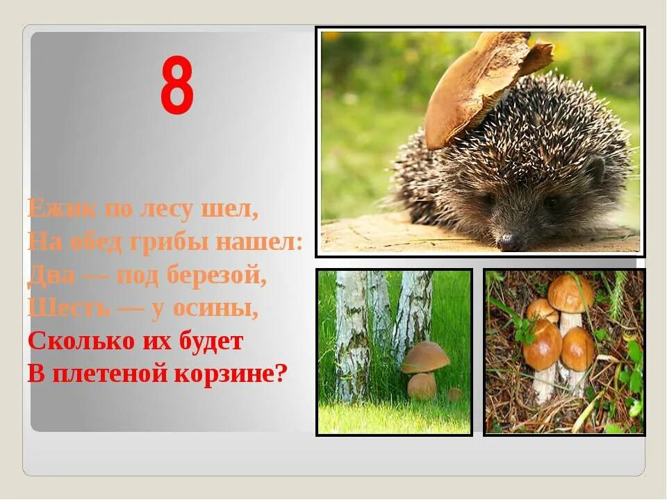 У нас под крыльцом жил еж. Ежик по лесу шел на обед грибы нашел. Задачи в стихах. Ëжик по лесу. Задания для ежа в лесу.