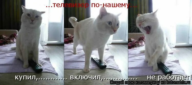 Девушка выиграла айфон. Включи купили новый. Включи купили новый. Человек покупает айфон. Новый телефон мем.