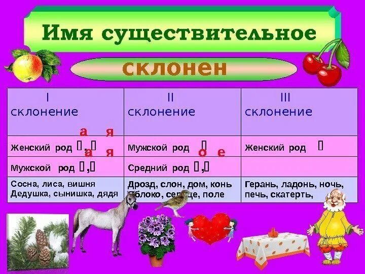Как определить род имен существительных. Склонение женского рода. Склонение существительных женского рода. Определите существительные женского. Окончания существительных в родительном падеже множественного числа.