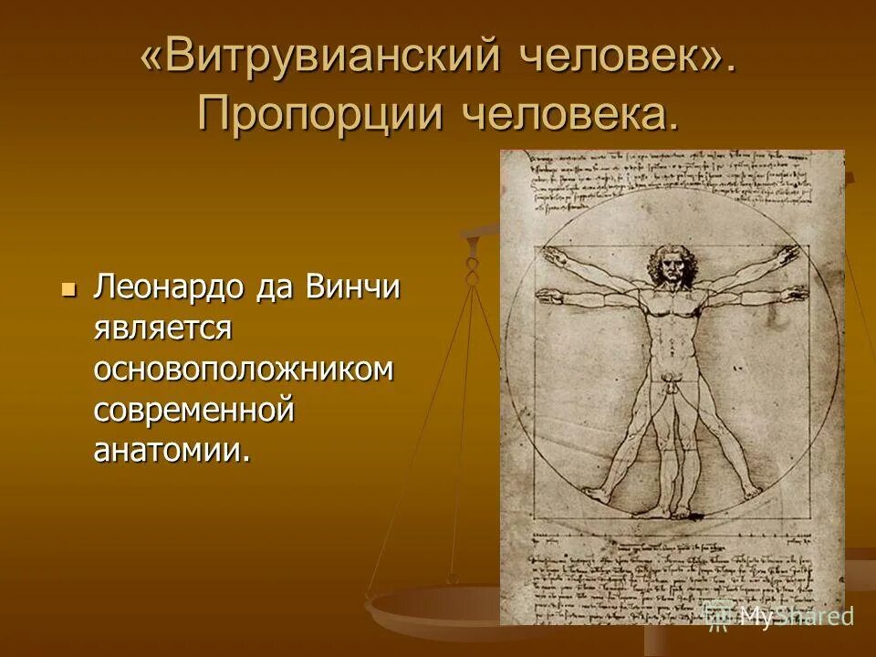 основоположник современной анатомии