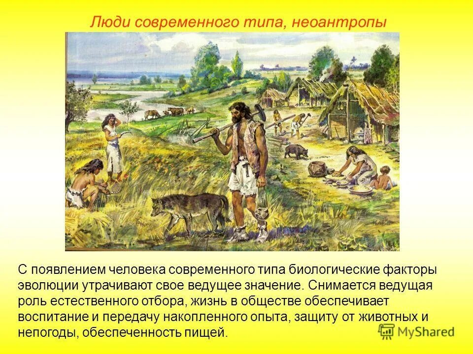 Какие виды человека жили на земле. Поселок древних земледельцев и скотоводов. земледелие древнего человека. возникновение земледелия и скотоводства. первобытные земледельцы.