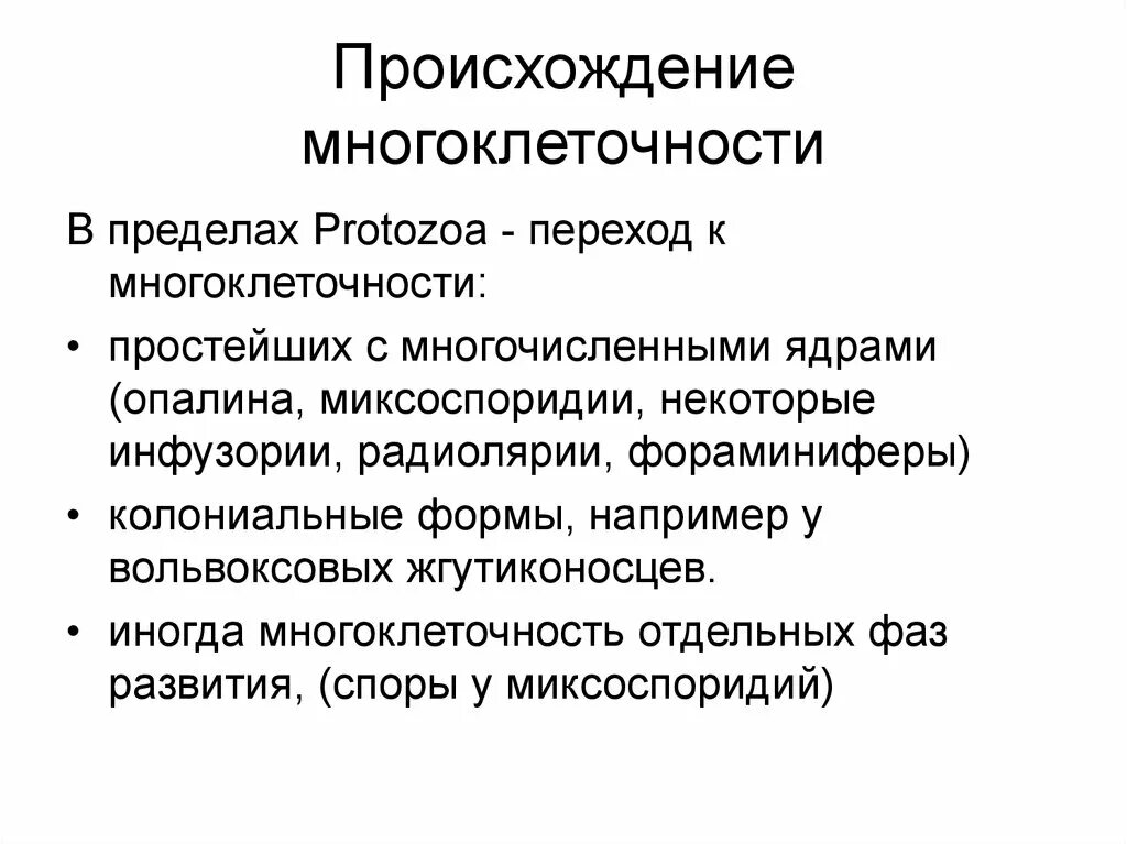 Появление многоклеточности привело. Возникновение многоклеточности. Пути возникновения многоклеточности. Происхождение многоклеточности. Гипотезы происхождения многоклеточности.