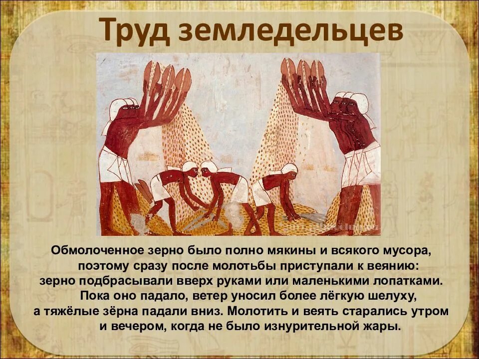 Рассказы древних земледельцев. Труд земледельцев. молотьба в древнем египте. труд земледельцев в египте. рассказ о земледельце.