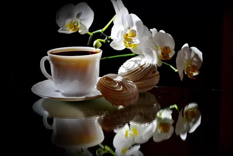 с добрым утром с орхидеями. хорошего дня орхидеи. кофе и орхидеи доброе утро. чай с орхидеей. с добрым утром орхидеи белые.