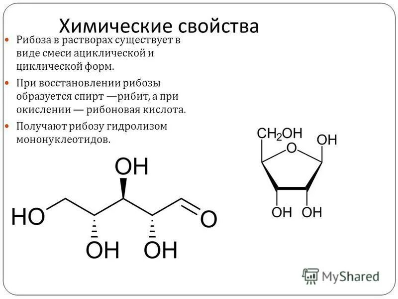 Глюкоза рибоза относятся