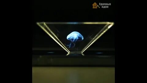 Хочешь трогать трогай ай увы я голограмма