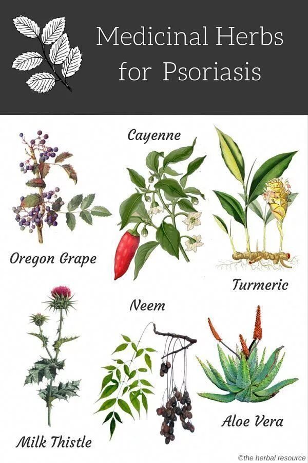 Medical Herbs. Medicinal Plants презентация. Medicinal Plants Medicine. Herbs is.