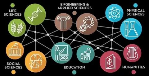 Social sciences education