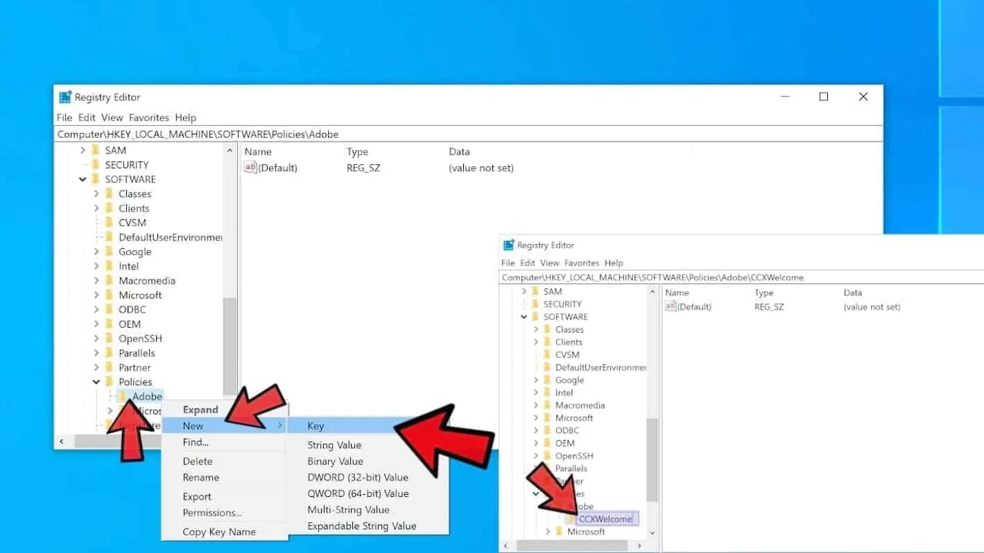 Ccxprocess exe что это. Ccxprocess что это. ccxprocess в автозагрузке что это. ccxprocess.exe системная ошибка. regedit значок.