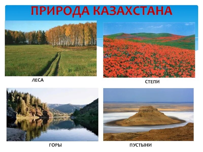 Природа казахстана 5 класс