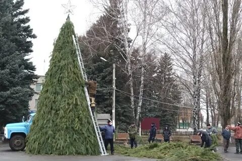Елка в троицком