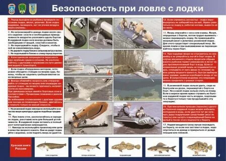 Правило ловило
