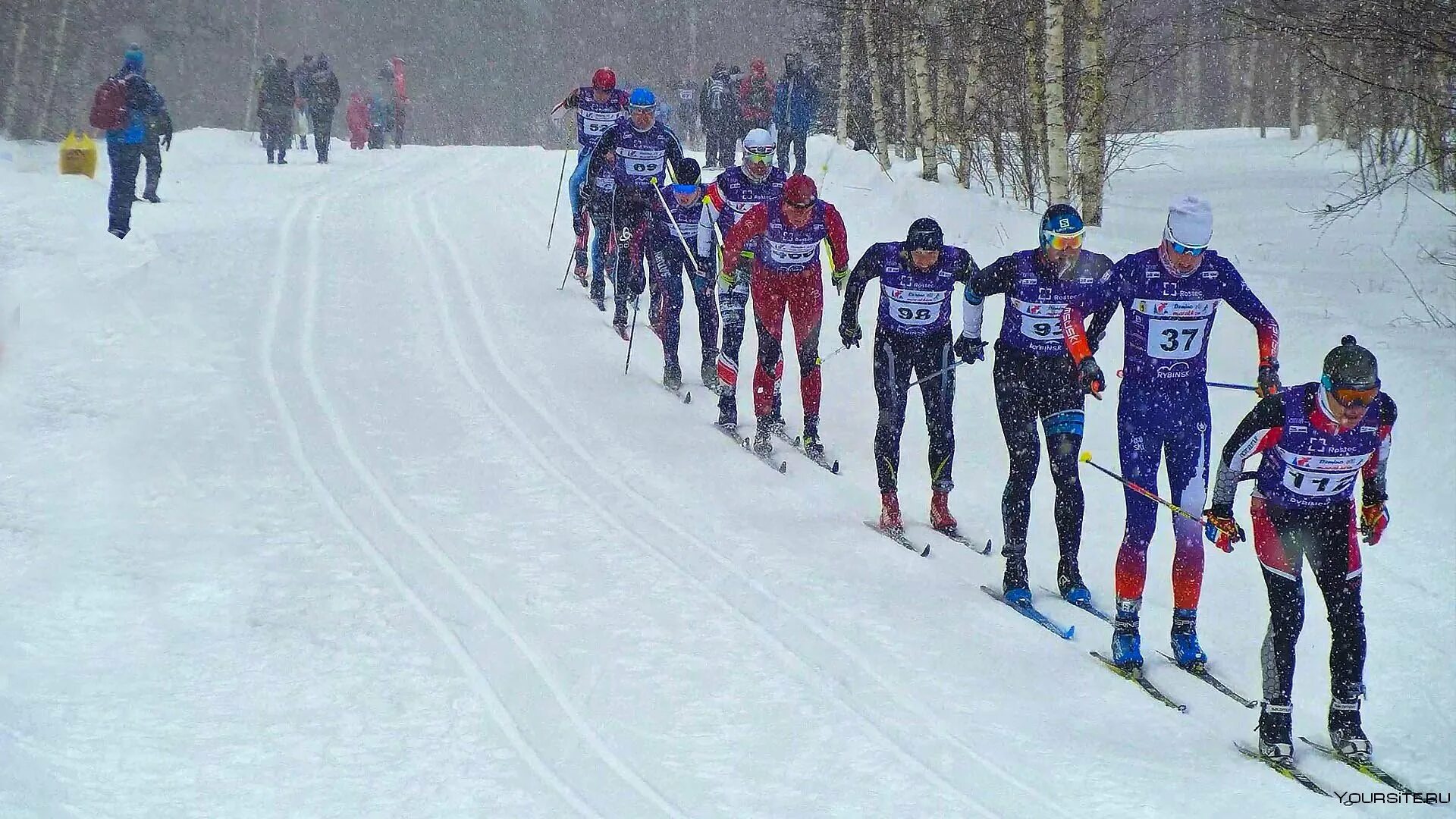 Деминский лыжный марафон 2023. Лыжный марафон в северодвинске сегодня. Деминский лыжный марафон 2023. Дёминский лыжный марафон. Деминский марафон.