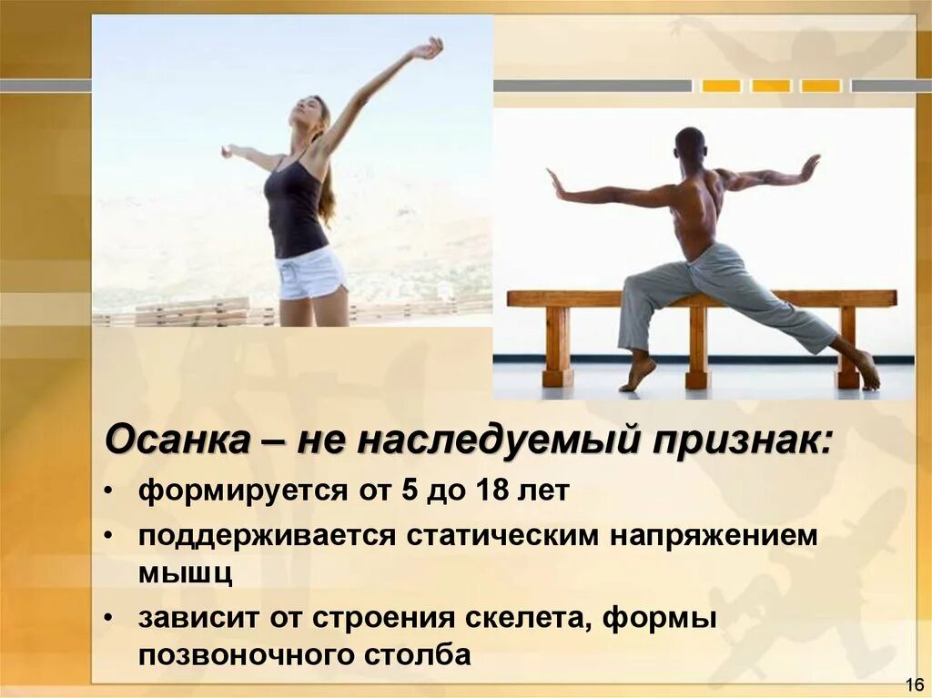 Правильная осанка формируется под влиянием физических упражнений. Осанка зависит от. влияние физической культуры на осанку. влияние физических упражнений на осанку. осанка человека зависит от.