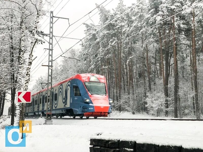 Станция ромашково московская область. Станция ромашково московская область. Электричка барвиха ромашково. Электричка ржд. Эд4мку цппк.