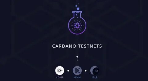 Crypto testnet bot как выводить