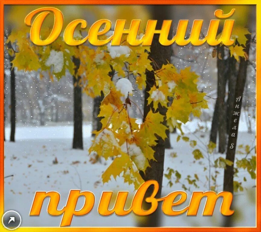 Поздравление с ноябрем. Добрый осенний день снег. Ноябрь пожелания. Добрый день осень снег. Открытки ноябрь осень.