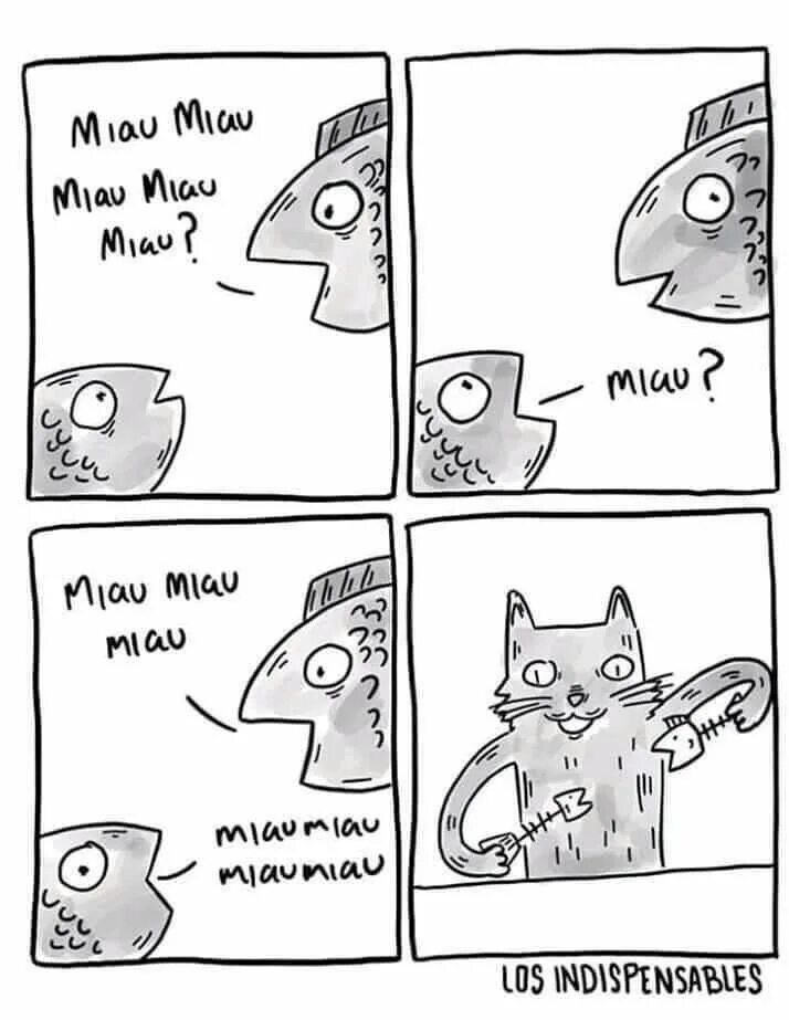 Кит сонг туториал мяу мяу. Мяу. кот мяу. мяу прикол. мяу картинки.