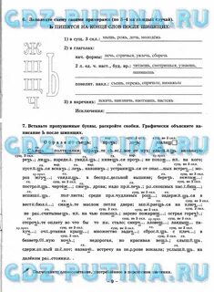 Русский язык тетрадь богдановой 8 класс