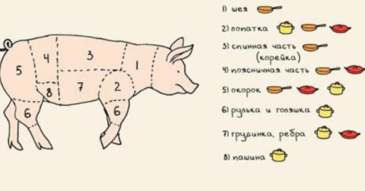 Лучшие части свиньи. Схема разделки свиной туши с названиями. Схема разделки свиной туши. Схема разруба свинины. Схема разруба мяса свинины.