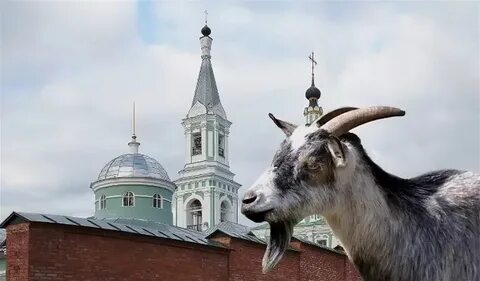 Тверь почему козел