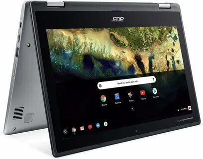 Acer max
