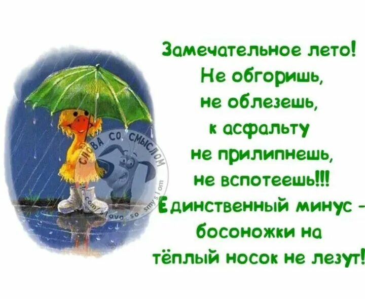Лето 2025 года будет холодным. Замечательное лето не обгоришь. лето не лето. замечательное начало лета не обгоришь. замечательное начало лета не обгоришь не облезешь.