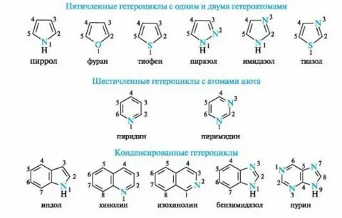 1 3 как называется