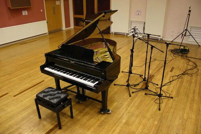 Микрофон для рояля. Виртуальное пианино. Запись фортепиано. Рассказать о фортепиано. Доклад про фортепиано.