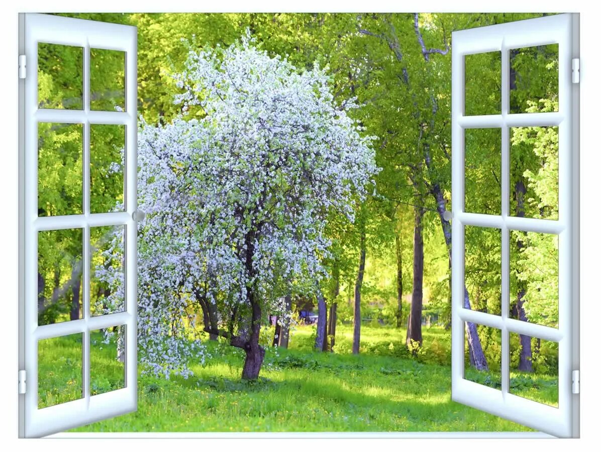 Tree window