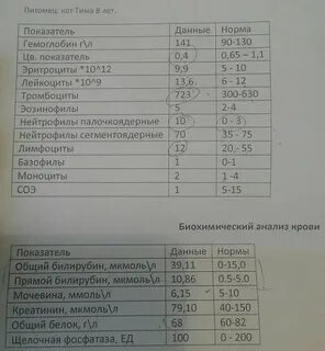 Гемоглобин 8 3