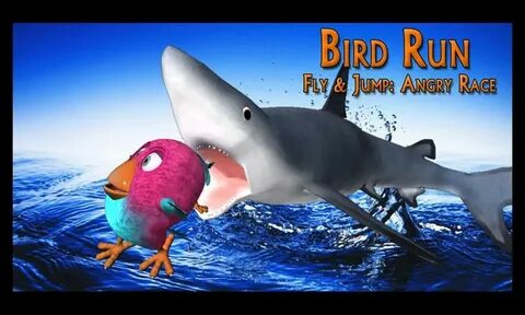 Run and fly