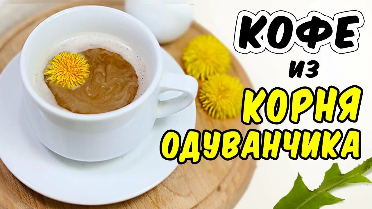 Кофе из корней одуванчика. Корень одуванчика кофе. Напиток из одуванчиков. Кофе из одуванчиков. Кофе из одуванчиков.