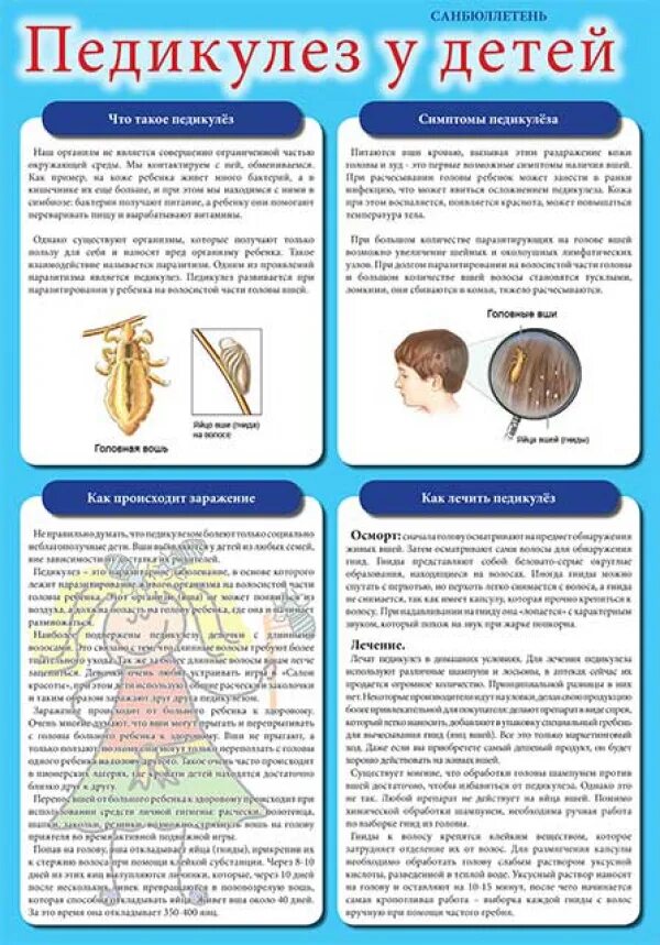 Мероприятия по профилактике педикулеза. Санбюллетень профилактика педикулеза. Профилактика педикулеза родителей у детей. Профилактика чесотки и педикулеза. Педикулёз в детском саду памятка для родителей.