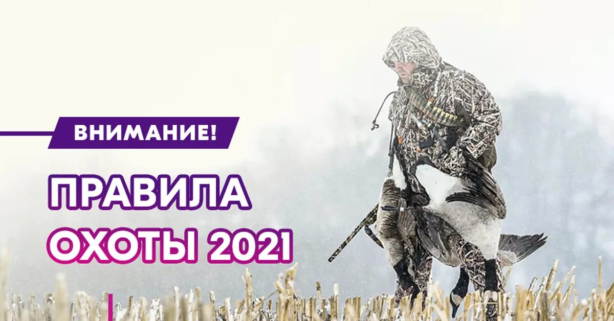 Правила охоты в московской области 2023. Правила охоты. Правила охоты 2021 года. Правила охоты 2021 новая редакция. Изменения в правилах охоты.