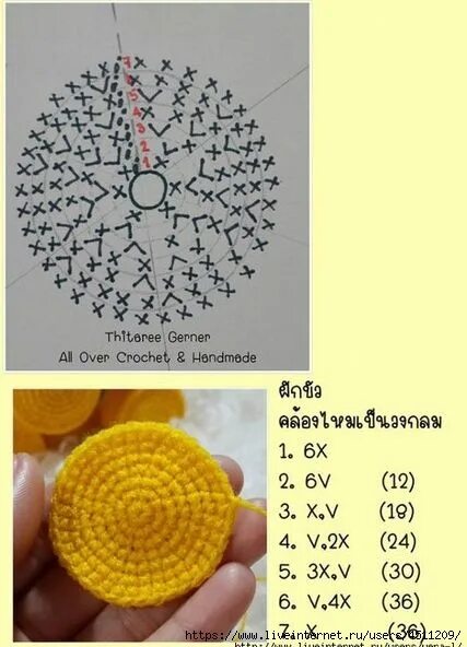 Лотосы - комнатные растения крючком Crochet flower patterns, Crochet flowers, Cr