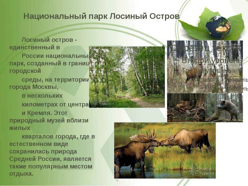 Лосиный остров национальный парк. Лосиный остров национальный парк сообщение 2 класс. Национальный парк лосиный остров доклад. Лосиный остров национальный парк сообщение 2 класс. Лосиный остров национальный парк сообщение 2 класс.