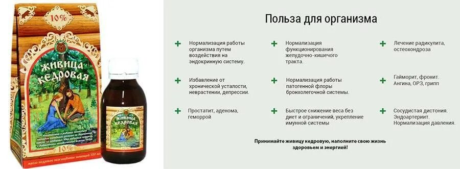 Живица кедра сибирского. Смола сосны живица. Смолы полезные свойства. Живницакедровая подсочка. Живица сосновая лечебные свойства.