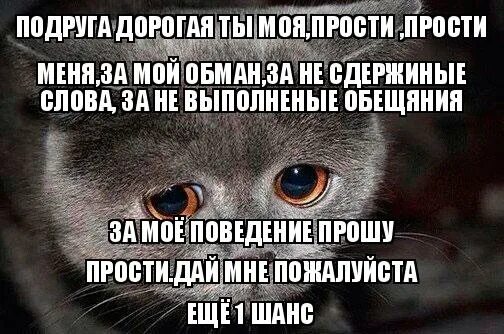 Спроси как найти хорошую