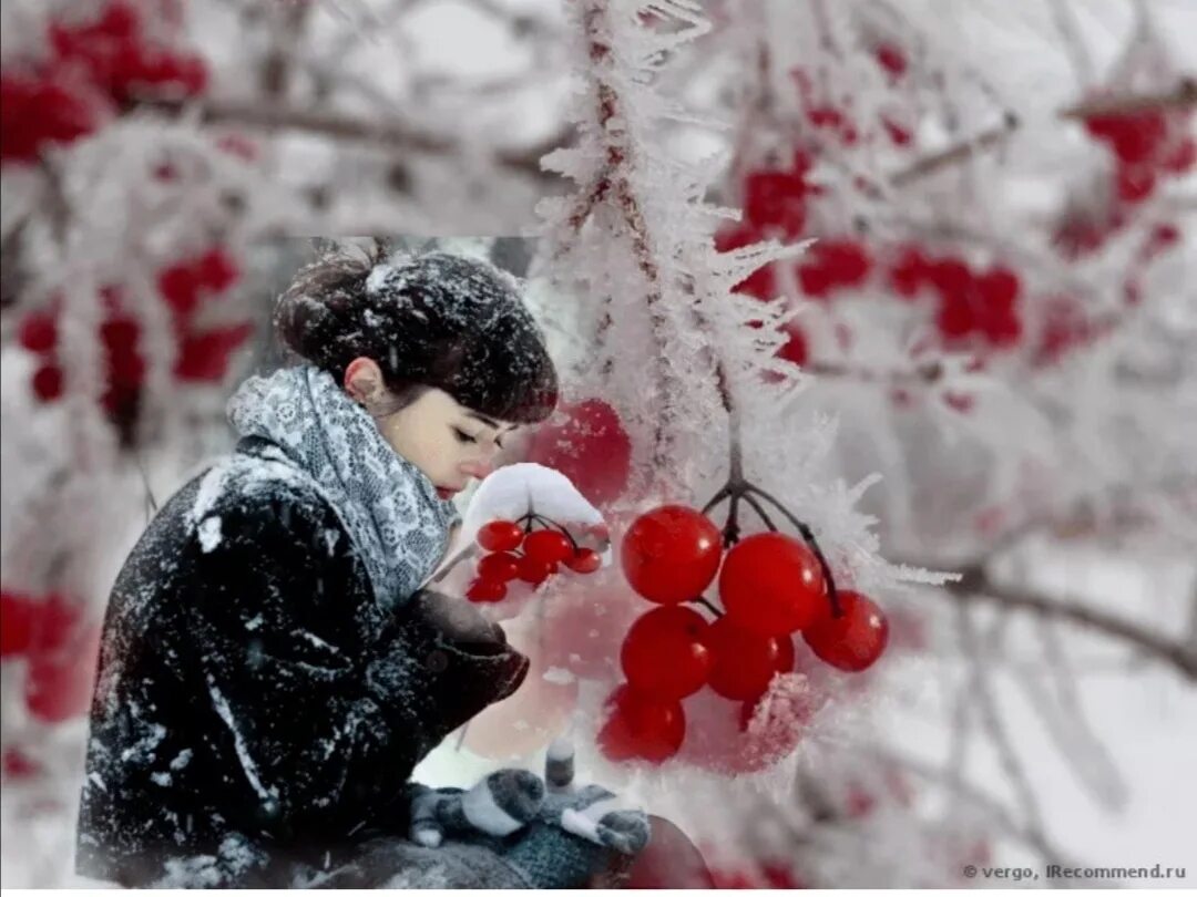 В воздухе пахло снегом. Рябина зимой. Девушка зимой с рябиной. Рябина красная в снегу. Рябина в снегу.