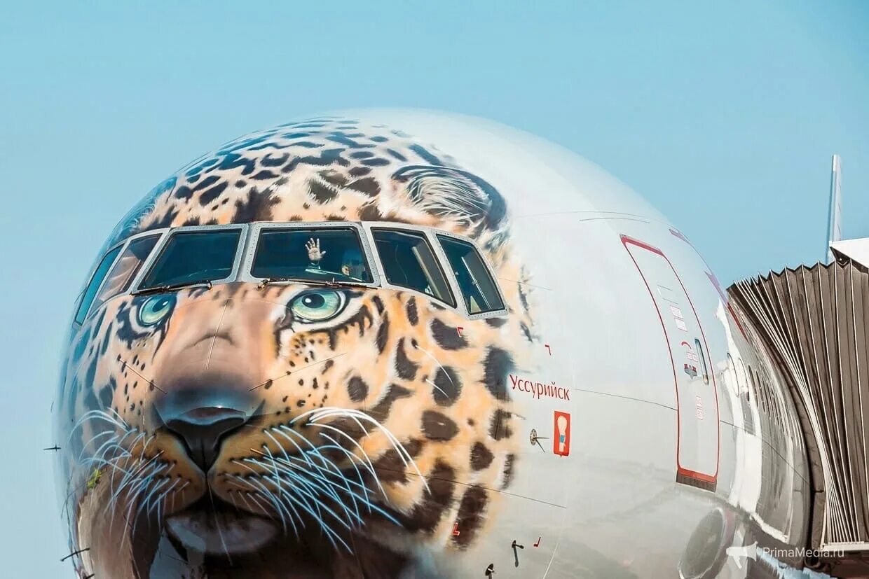 Летали летали записи модели. Маршрут самолета москва владивосток. Москва уссурийск самолет. Путь самолета. Боинг 777-300 россия аэрофлот.