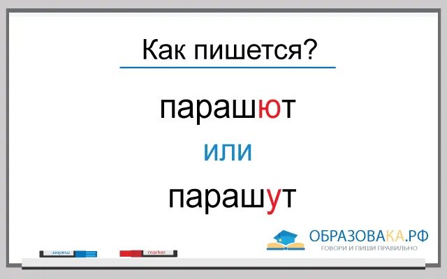 Риелтор или риэлтор как правильно словарь. Как правильно написать риелтор или риэлтор. Как правильно писать Риэлторская или Риэлтерская. Как правильно пишется. Как правильно пишется слово риэлтор.