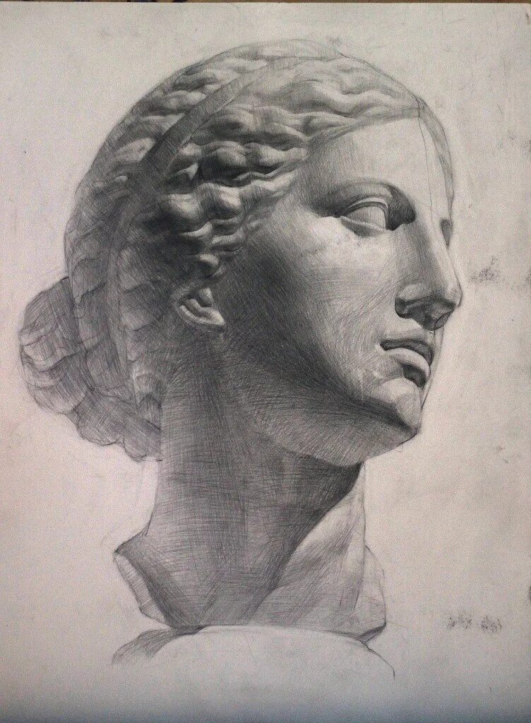 афродита книдос гипс голова. гипсовая голова афродиты. гипсовая голова венеры книдской. гипсовые головы сократа антиноя афродиты цезаря. голова афродиты книдос.