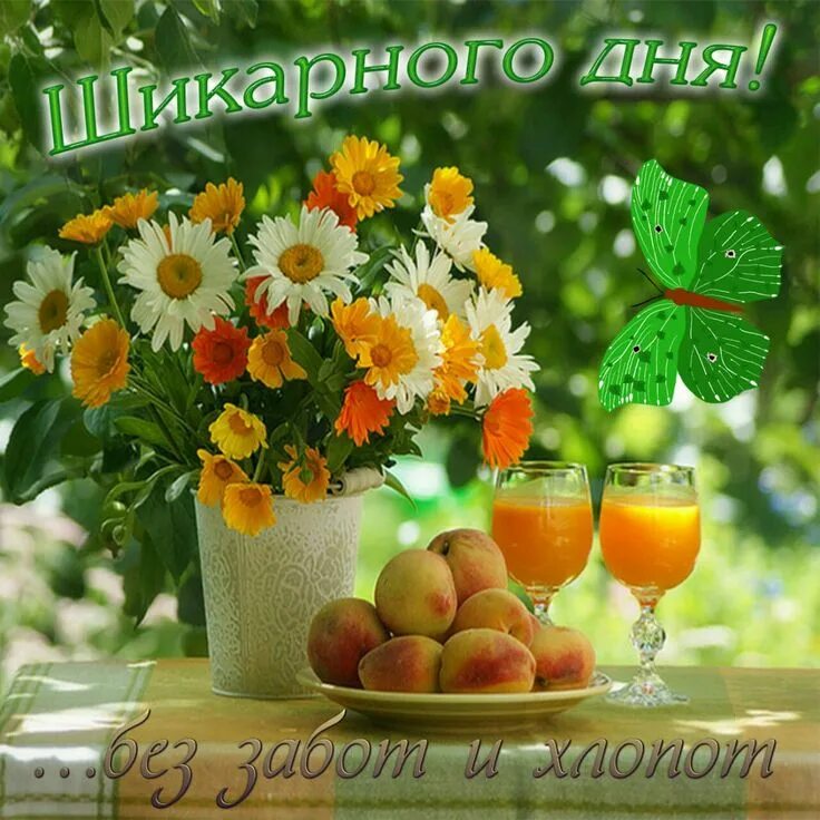 Доброе утро с последними летними денечками. Летнее настроение. замечательного утра и прекрасного настроения. открытки с прекрасным летним утром.