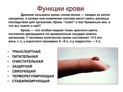 Кровавым называли