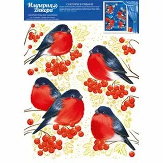 Снигирь в купальнике