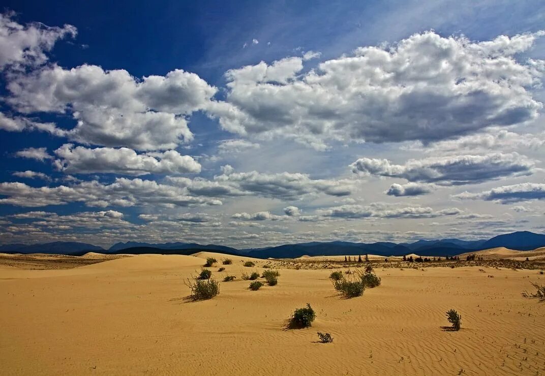 Пустыня Чарские Пески климат. Степь полупустыня пустыня. Чарские Пески, Забайкалье. Климат полупустынь.