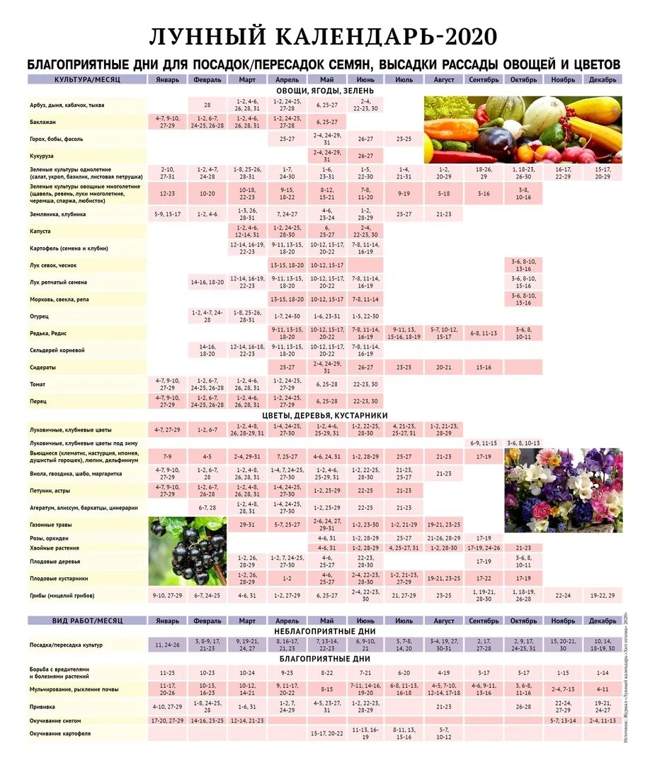 Календарь посадок. Календарь посадки семян. Посевной календарь дачника. Лунный посадочный календарь на февраль. Календарь огородника апрель 2020 года